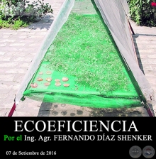 ECOEFICIENCIA - Ing. Agr. FERNANDO DAZ SHENKER - 07 de Setiembre de 2016